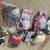Lots Pets Toys And Bags 1 thumbnail