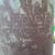 Taylors Dairy Sacramento REG CA 10 gallon milk can 3 thumbnail