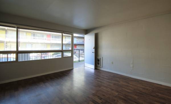 $1,095 / 1br - 393ft2 - Light Filled First Hill 1Bedroom - 2 Weeks Free (Capital Hill)63659728845697124