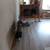 2 ROOMS WALL PAINTING LABOR ONLY $799 SPECIAL  PAINTER  510-965-5552 9 thumbnail