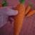 Decorative Faux Vegetable Bundles (4 sets) 9 thumbnail