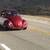 Vw bug 13 thumbnail