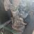 Antique cupid lawn sculpture 2 thumbnail