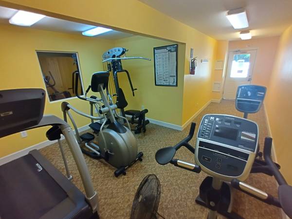 $921.00 / 1br - 672ft2 - Charming 1 Bed 1 Bath Apartment in Lynchburg, VA - Available 09/19 - $63851970332419123