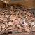 Split Firewood 1 thumbnail