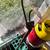 Yard Stuff - See details 4 thumbnail