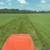 Bermuda Hay 2 thumbnail