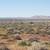 LAND 2.5 Acre Flat Desert Off Grid Rural Private 2 thumbnail
