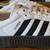 Adidas Women's Sambae Platform Sneakers size 7.5 2 thumbnail