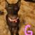 kittties 1 thumbnail