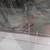 Framed Winter Landscape OOC Painting 3 thumbnail