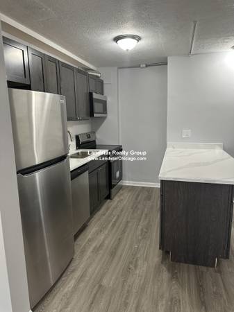 $1,450 / 1br - LARGE RENOVATED 1 BEDROOM WITH NATURAL LIGHT (Rogers Park)64041810231425120