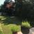 Maspeth Apartment first Flr 2 Bed/ Backyard and Parking 23 thumbnail