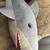 Big stuffed animal Shark 2 thumbnail