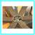 Restoration Hardware Twelve Light Wine Barrel Chandelier 9 thumbnail