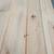 # 2 and better 1 x 4 x 16 white pine 5.50 ea 10 thumbnail