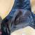HD black leather halter 9 thumbnail
