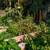 Community garden, Outdoor pool and sun deck, 1bd 7 thumbnail