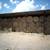4x5 Coastal/ Grazer mix Hay 5 thumbnail