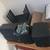 MARTIN AUDIO DD6 Loudspeakers - Mint (four) 2 thumbnail