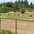 !!**Long Term RV lot for Rent**!! 7 thumbnail