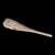 Longnose gar skull 2 thumbnail