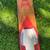 VINTAGE J. C. HIGGINS WATERSKI 12 thumbnail