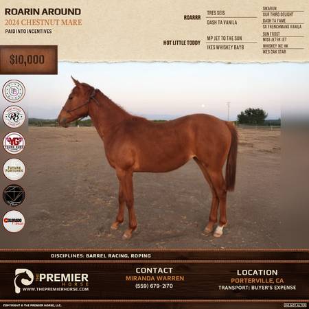 AQHA Filly Paid into Incentives 1