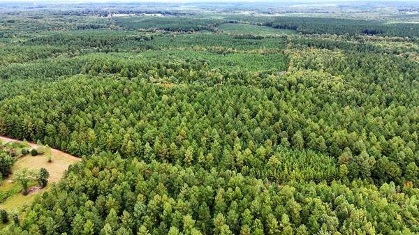 $99,000 21 Acres in Victoria, VA (Flat Rock Creek Trail)63851970376065121