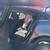 2016 Chevrolet Cruze Limited 1LT Auto 4dr Sedan w/1SD 19 thumbnail