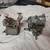 2 single barrel VW Carbs 1 thumbnail