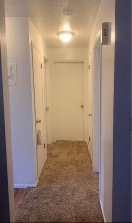 $657 / 2br - Una estudiante buscando compañera o compañero en un apartamento de 2 habitaciones y 1 baño63969194767747124