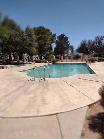 $600 / 1br - Room for Rent (Desert Shadows)63793820693633123