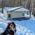 Insulated Heated Dog House 3 thumbnail
