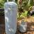 20lb LP tank / Liquid Propane - Full or Empty, Also others SEE DETAILS 1 thumbnail
