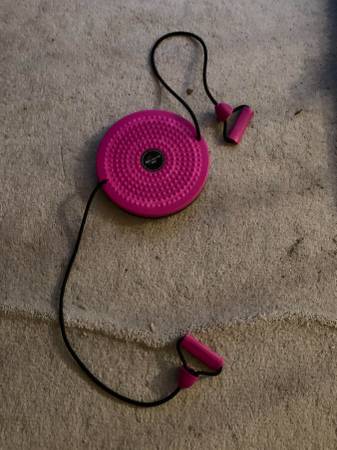 Waist Twisting Disc with Resistance Bands 1
