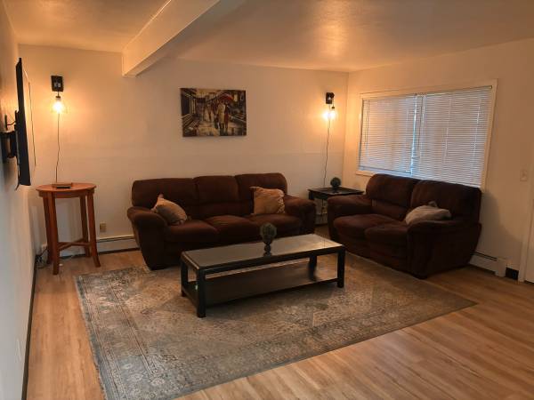 $1,300 / 1br - 900ft2 - Fully Furnished Executive Rental In Downtown Anchorage! (524 Eyak Dr. #4)64014174002434120