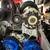 383 Stroker, you can take off the Whipple charger install a Victor jr 11 thumbnail