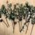 New! 29pc Holiday Craft pine branch Sprigs / Picks Pine Cone Mix 3 thumbnail