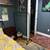 Rooms Available – Seneca Ave, Ridgewood-$1,000–$1,100 10 thumbnail