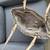 Pretty Michael Kors Bag (like new), snake design 3 thumbnail
