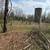 Land Clearing, Mulching, BrushCutting,Stump Removal, FencePost Driving 5 thumbnail