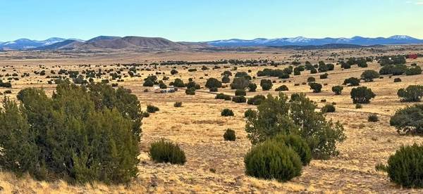 $200 Beat the Heat & Invest Smart: 1.04 Acres in Concho, AZ (Concho, AZ)63382326626563122