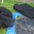 TRAMPOLINE MAT Replacement Part 140 Inch Plus Bonus Safety Nets 9 thumbnail