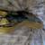 Stratocaster Body 17 thumbnail