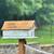 Handcrafted Cedar & Pressure‑Treated Pine Birdhouses — Custom Built to Order 12 thumbnail
