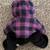 Cuddle Critter Grizzly Bear Plush 12" Portland Oregon Hoodie Stuffed A 2 thumbnail