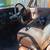 1979 C20 454 4sp 2wd " 17 thumbnail