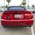 2004 Ford Mustang Cobra SVT Supercharged Convertible*LOW MILES*CALL*** 4 thumbnail