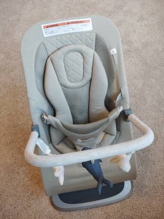 Ergobaby Evolve 3-1 Bouncer Chair 1